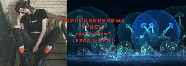 мдпв Нягань