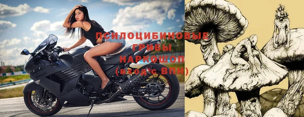 мдпв Нягань